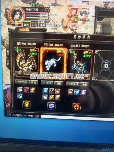 灵兽时装到底怎么搞?这些隐藏爆率你绝对不知道! 灵兽时装到底怎么搞?这些隐藏爆率你绝对不知道!