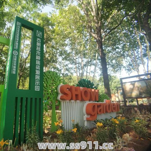 后期做任务一定要减少魔法护盾的CD时长