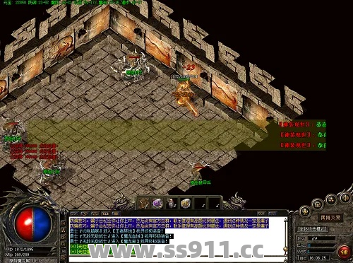 完成神龙宝藏任务能够得到什么装备