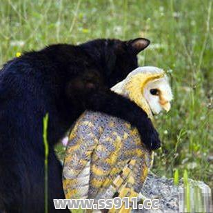 游戏发布的时候我们要随时关注